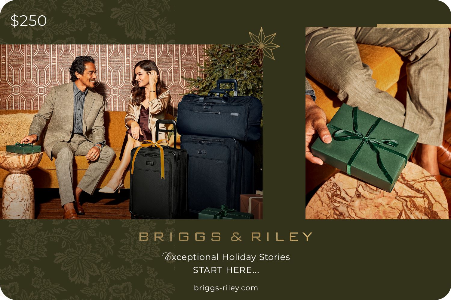 briggs & riley e-gift card $250 #price_250