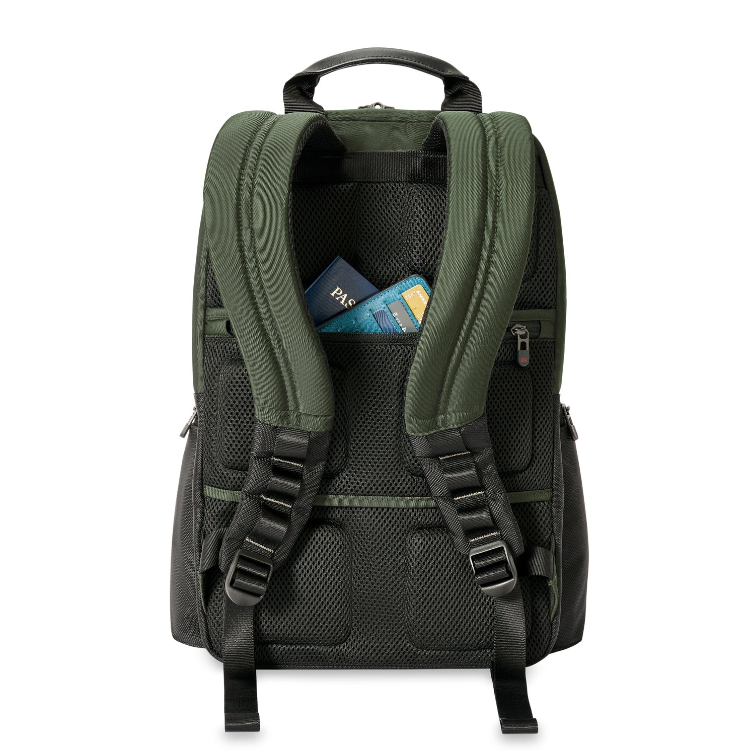 Briggs & Riley Medium Cargo Backpack Forest Back View #color_forest