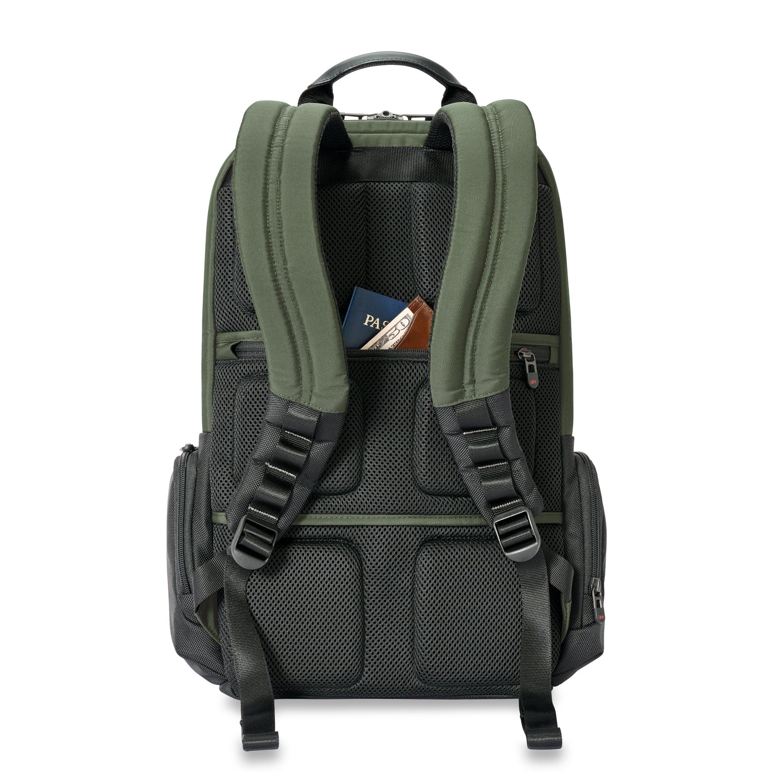 Briggs & Riley Large Cargo Backpack Forest Back View #color_forest