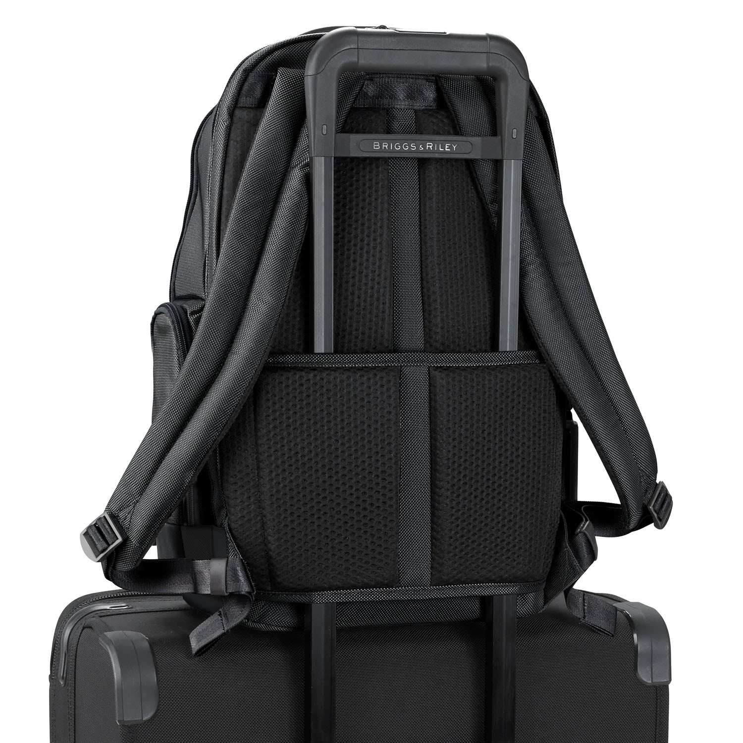 Briggs and Riley Medium Cargo Backpack Black Back #color_black