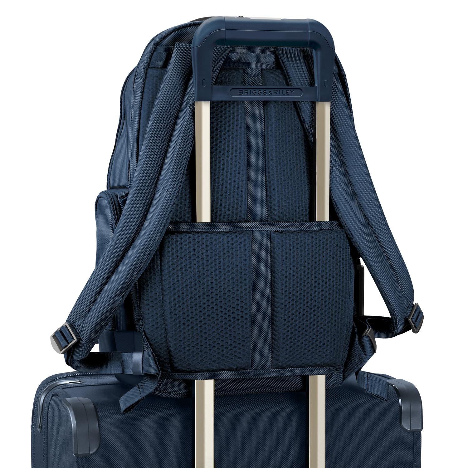 Briggs and Riley Medium Cargo Backpack Navy Back View  #color_navy